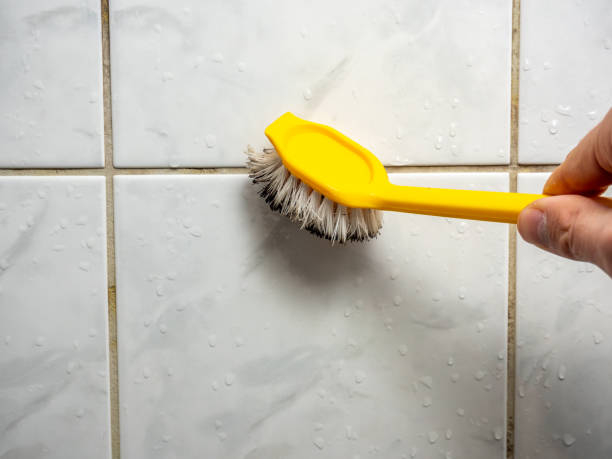 Best Mold Testing  in Wyong, MI