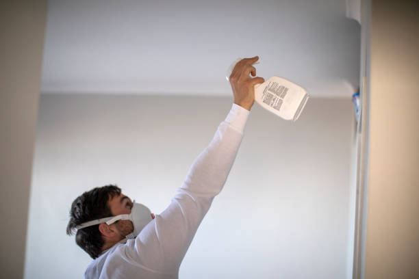 Home Mold Removal in Wyoming, MI