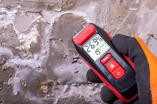Best Professional Mold Removal  in Wyong, MI