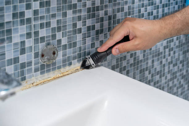 Best Affordable Mold Removal  in Wyong, MI