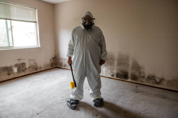 Best Mold Cleaning Services  in Wyong, MI
